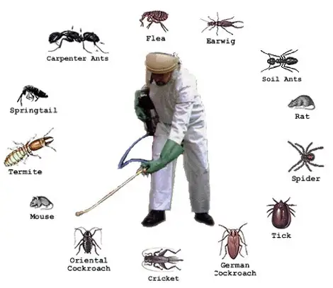 Pest Control Signs