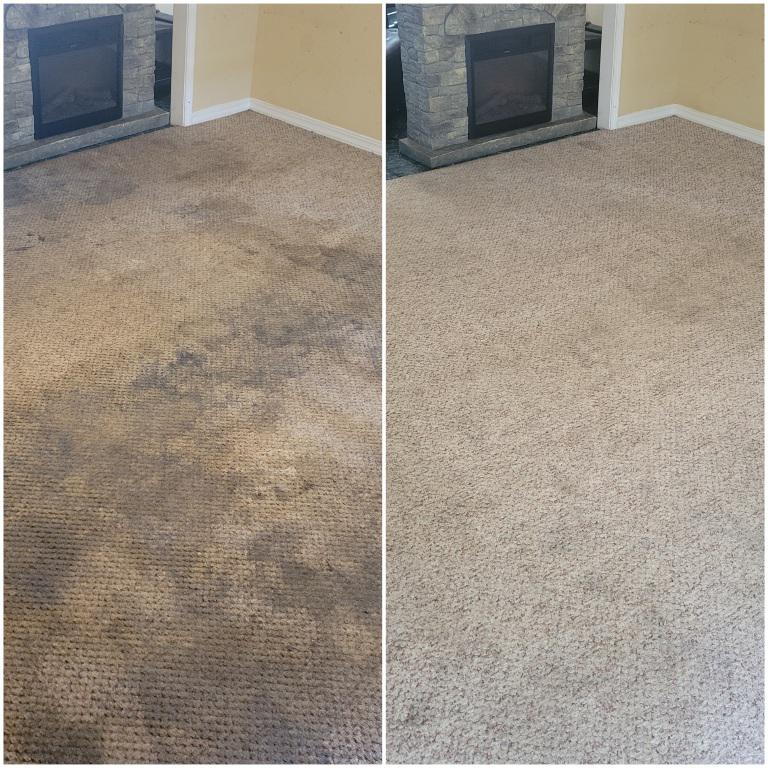 Carpet Before Cleaning